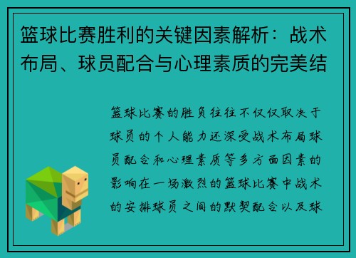 篮球比赛胜利的关键因素解析：战术布局、球员配合与心理素质的完美结合
