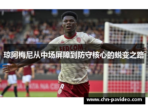 琼阿梅尼从中场屏障到防守核心的蜕变之路