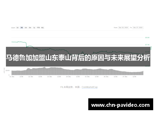 马德鲁加加盟山东泰山背后的原因与未来展望分析