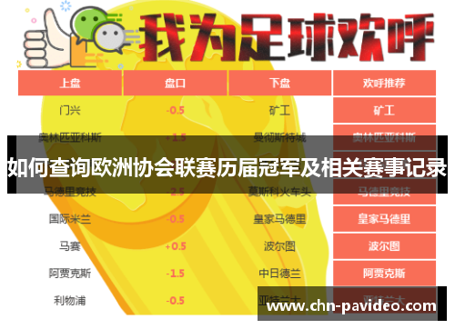 如何查询欧洲协会联赛历届冠军及相关赛事记录