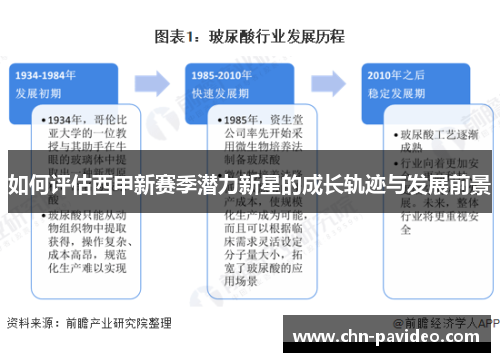 如何评估西甲新赛季潜力新星的成长轨迹与发展前景
