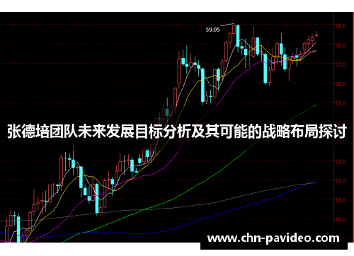 张德培团队未来发展目标分析及其可能的战略布局探讨